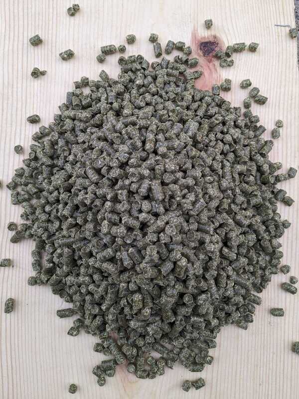 Non GMO Alfalfa Pellets