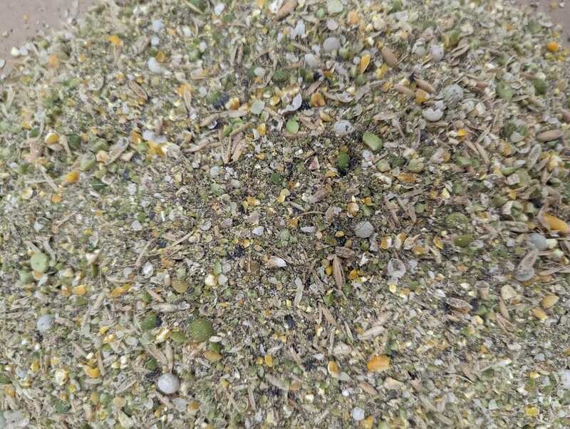 Sunrise Farms Soy Free Swine Feed - 50lb