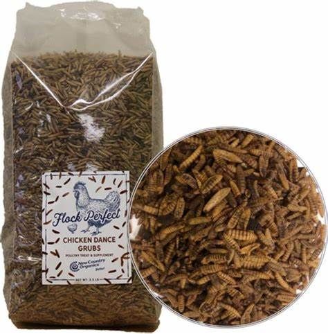 Flock Perfect Chicken Dance Grubs