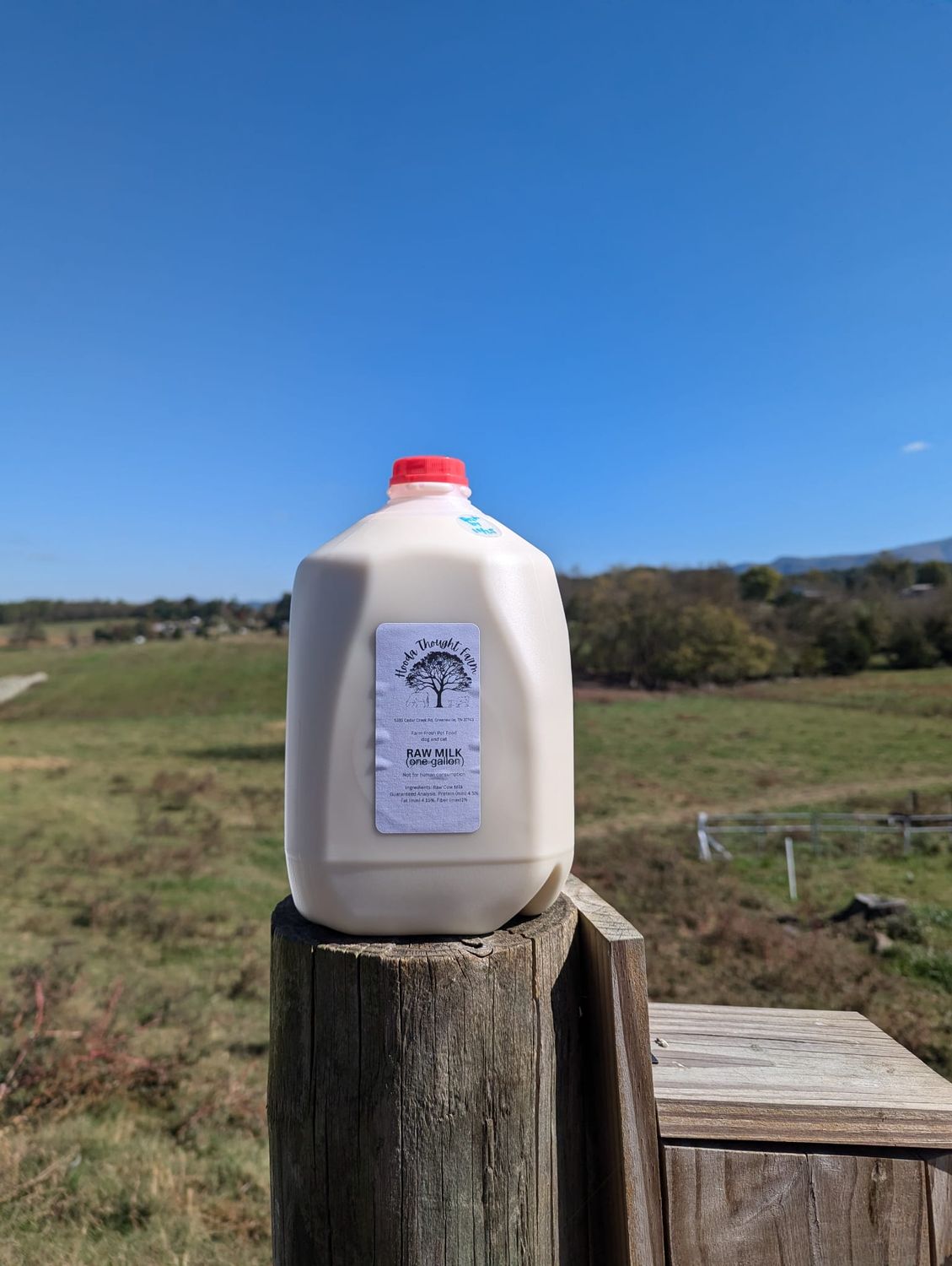 Raw Milk Gallon