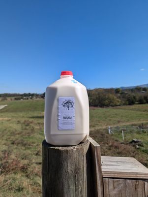 Raw Milk Gallon