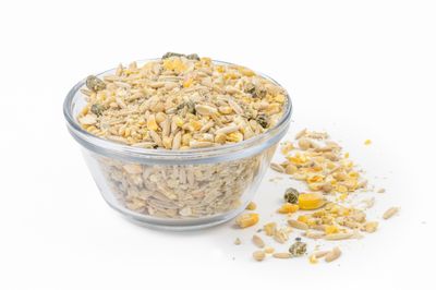 Non-GMO & Organic Feed