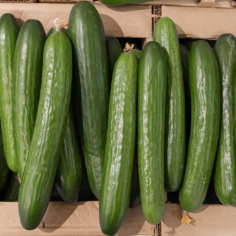 English Cucumber