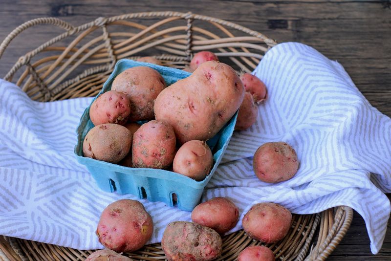 New Red Potatoes