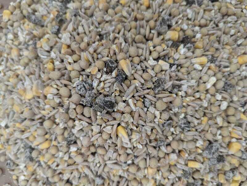 Sunrise Farms Soy Free Goat Feed - 50 lb