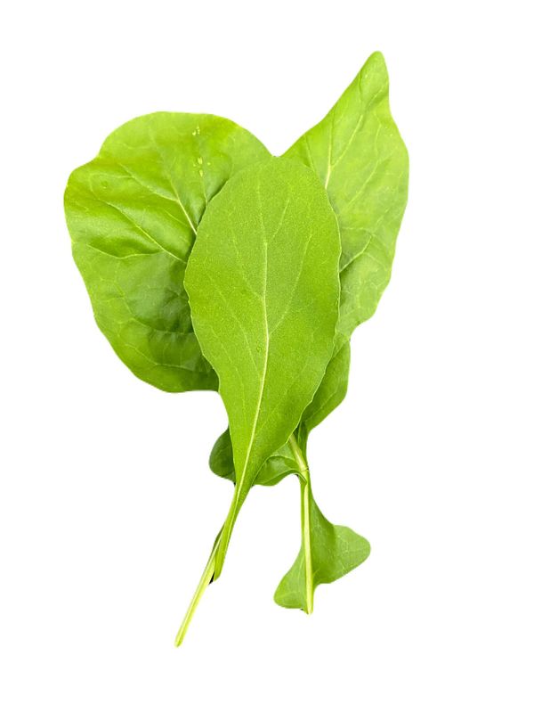 Arugula