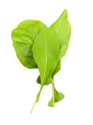 Arugula