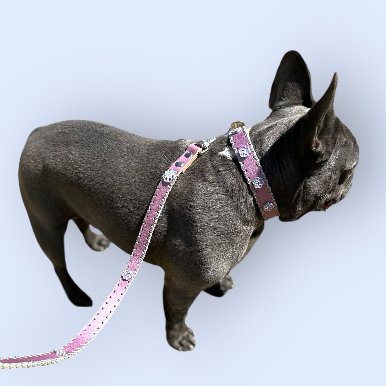 Completo COLLARE e GUINZAGLIO in pelle lilla personalizzarti con charme in PLA a forma di zampetta con strass.