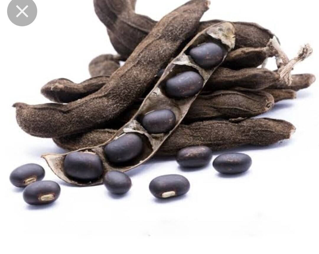 Mucuna Pruriens Seeds