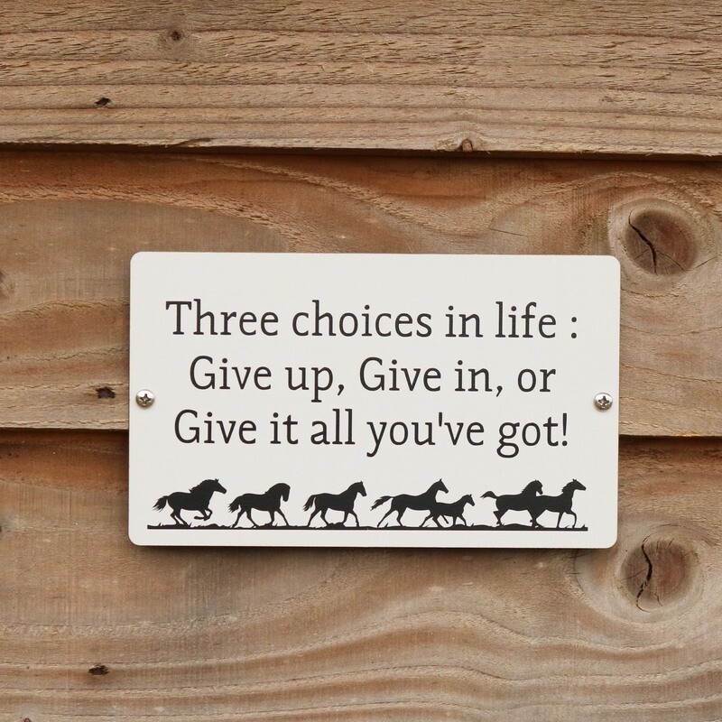 ​Three choices in life..