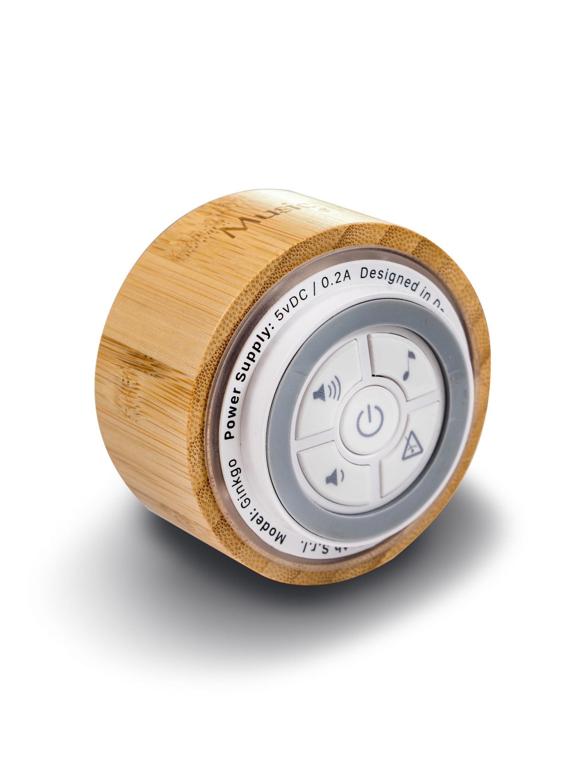 Gingko | Simple & Elegant