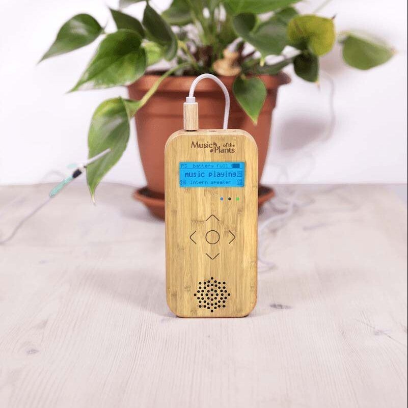Bamboo M
