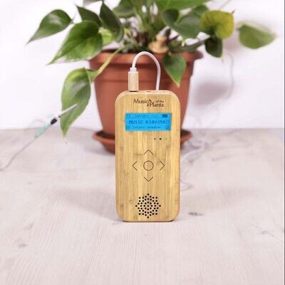 Music of the Plants 【Bamboo Mタイプ】 Bamboo M
