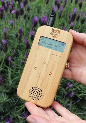 Music of the Plants 【Bamboo Mタイプ】 Music of the Plants