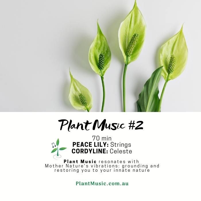 Plant Music Gift Pack