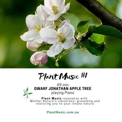 Plant Music #1 download Plant Music #1 download