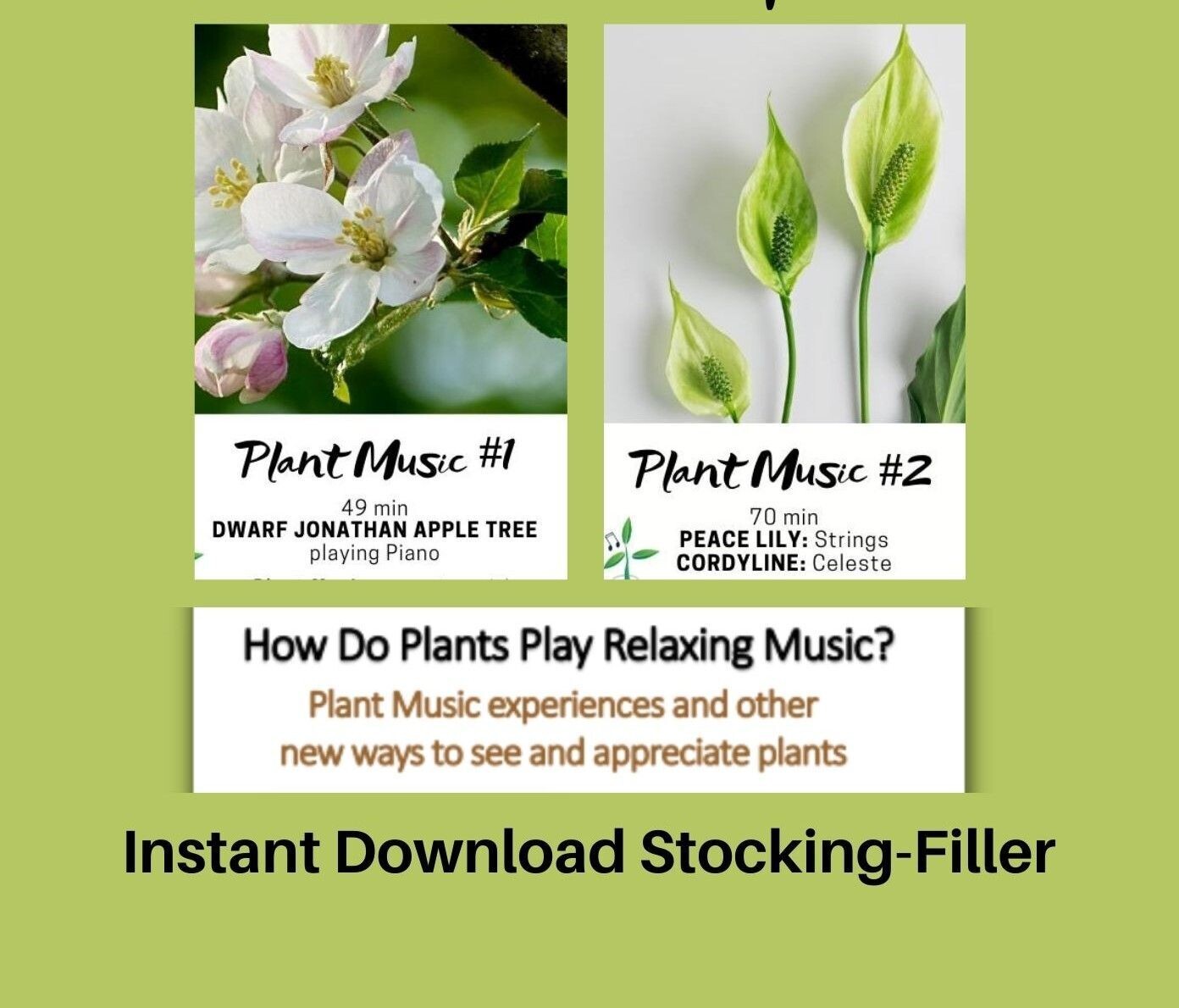 Plant Music Gift Pack