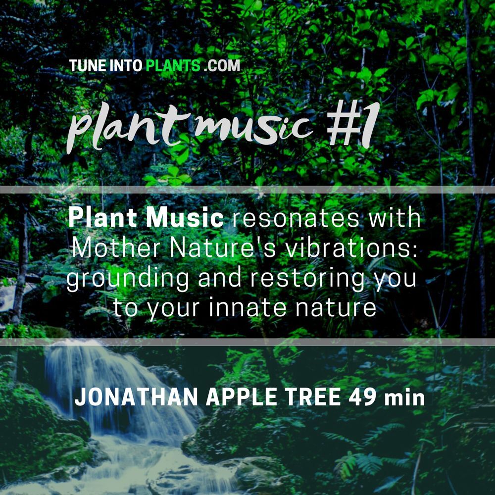 Plant Music #1 download