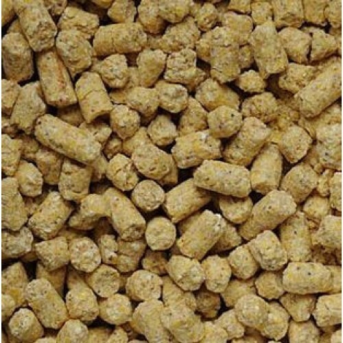 BABYCORN PELLETS 1 KG  - JAMES BOL