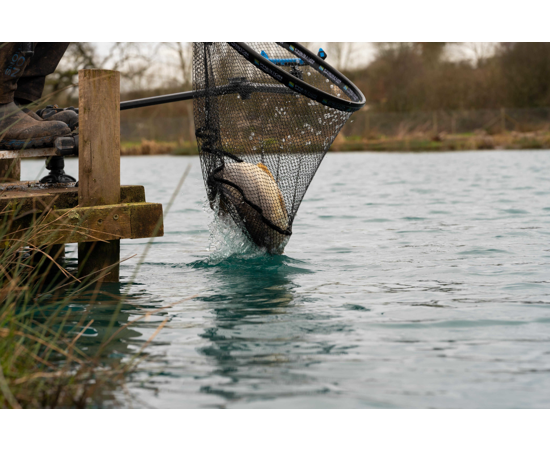CARP XS LANDING NETS - PRESTON