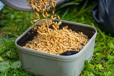 MAGGOT RIDDLE BLACK - GURU TACKLE