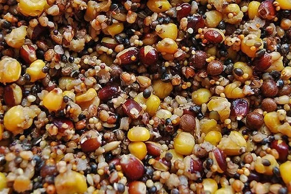 COOKED MIXED PARTICLES 5 l (3kg)