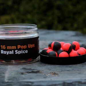 ROYAL SPICE (rood/zwart)-  POP-UP - TBF