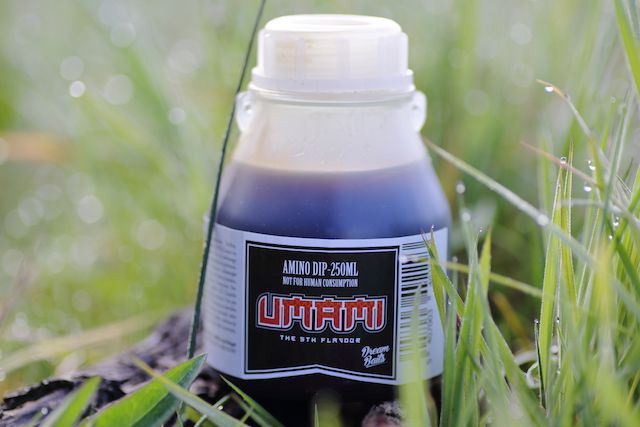 DIP UMAMI - DREAMBAITS