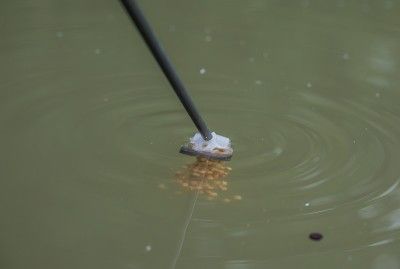 SMALL fast release cups - GURU