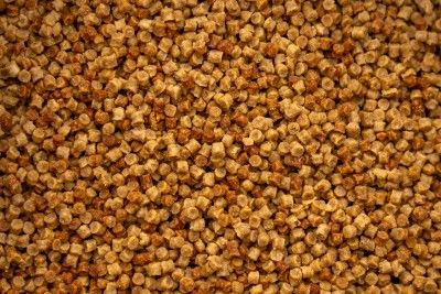 SK2 Pellet - 2mm - 1kg - MAINLINE