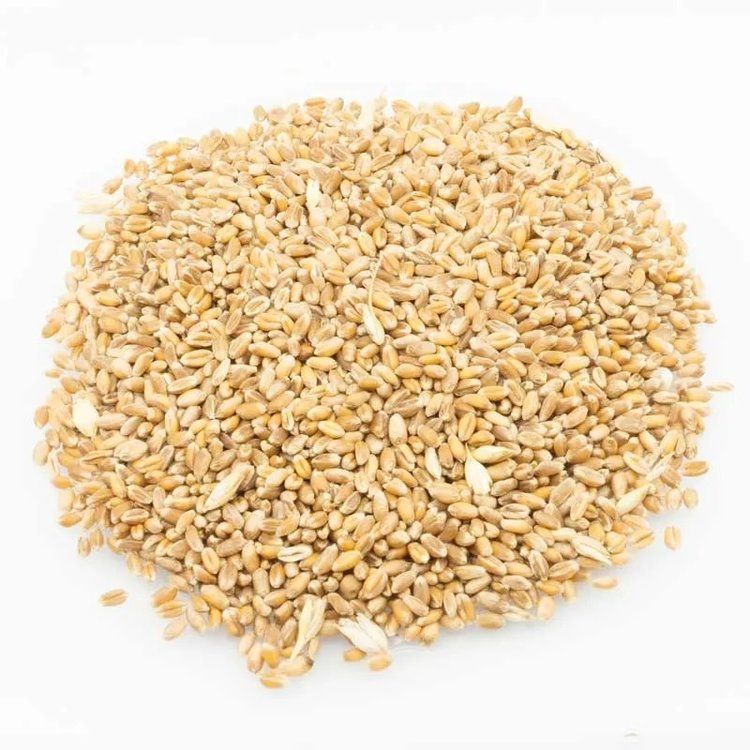 COOKED WHITE WHEAT 1/2 L - EUROFISH