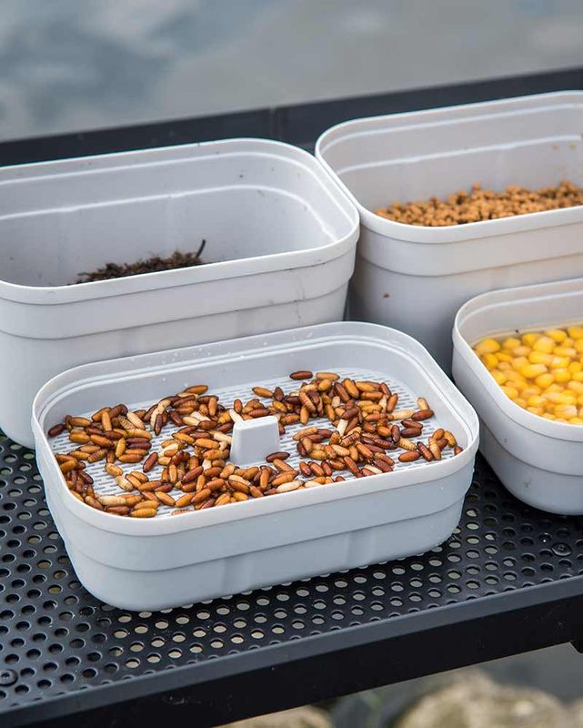 Drainage Tray - MATRIX