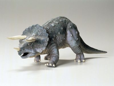 1/35 SCALE Triceratops Eurycephalus - TAMIYA