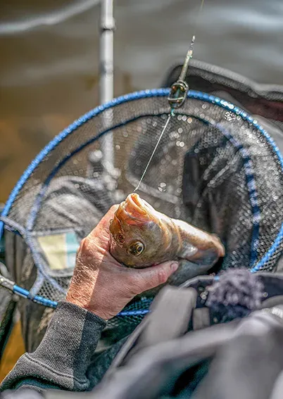 Freeflow landing net 16 inch