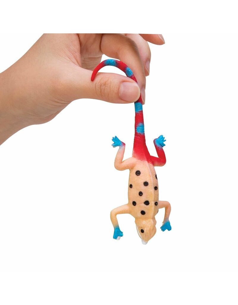 SCHYLLING COLOR CHANGING REVEALEONS