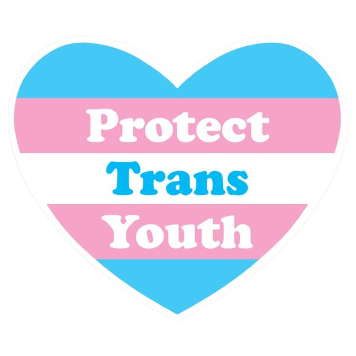 PROTECT TRANS YOUTH HEART STICKER