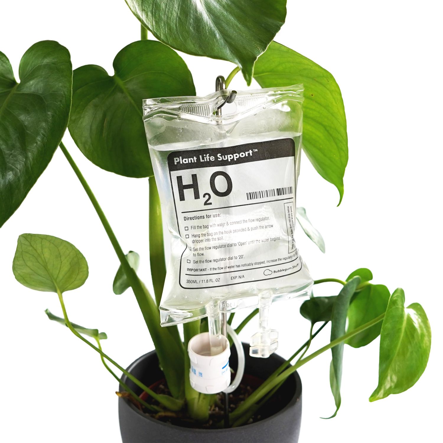 BUBBLEGUM STUFF PLANT LIFE SUPPORT