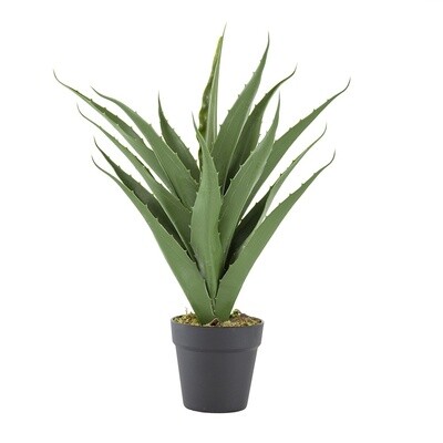 Artificial Yucca Plant with Cement Pot Leaf