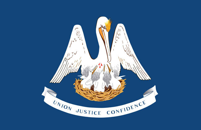 LOUISIANA FLAG POSTER