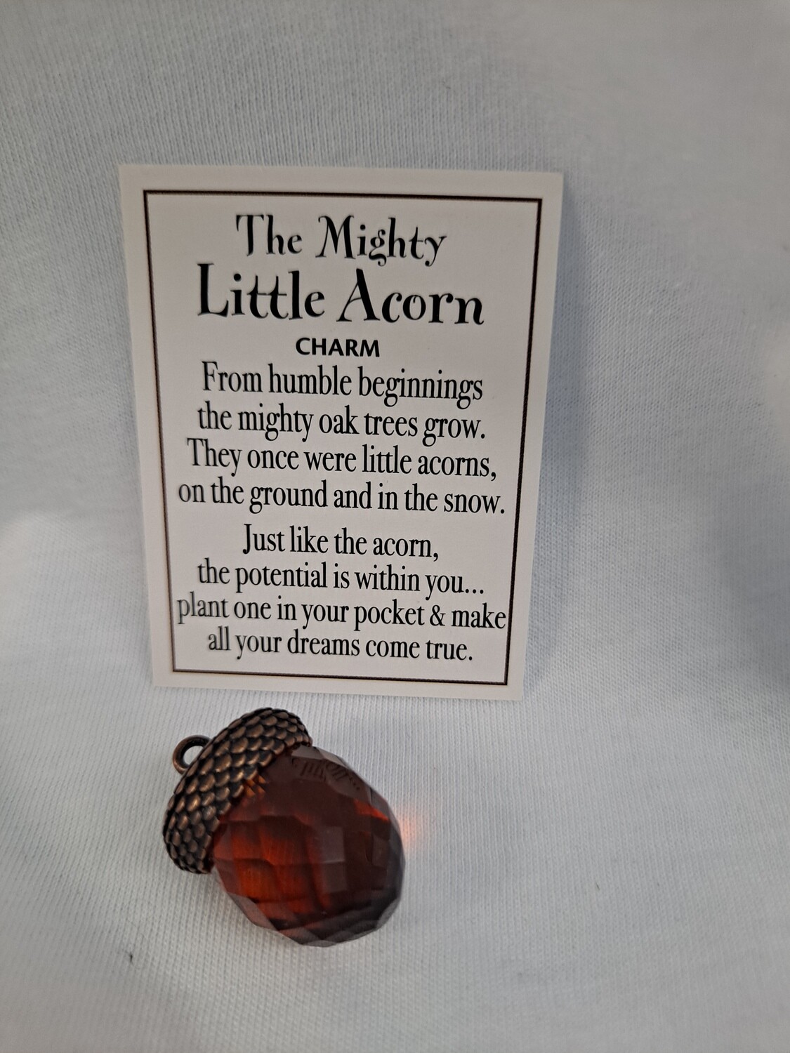 THE MIGHTY LITTLE ACORN TOKEN CHARM