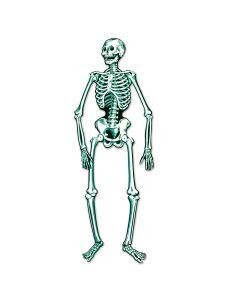 JOINTED SKELETON