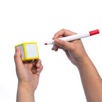 WRITE ON WIPE OFF DICE