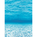 UNDER THE SEA 12 X 50 FADELESS PAPER