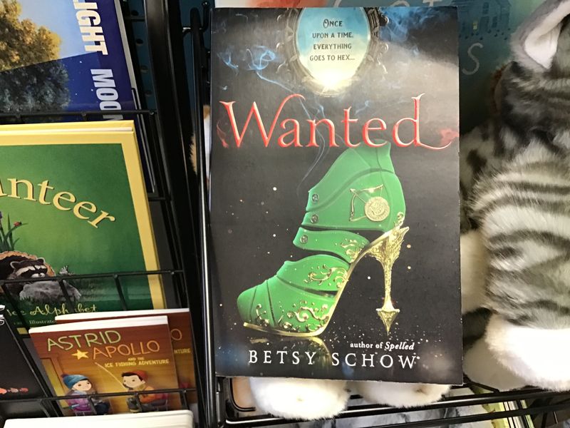 WANTED (BOOK)