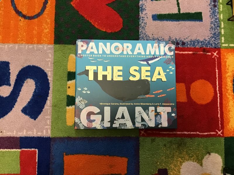 THE SEA: A POSTER BOOK