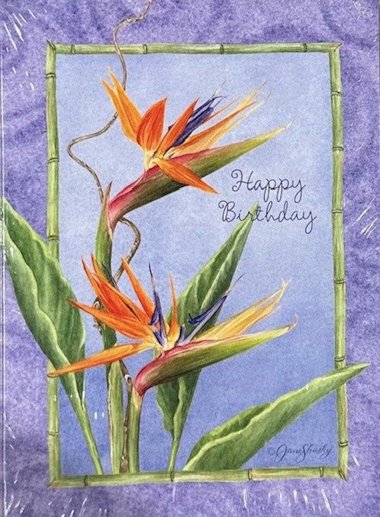 GRACEFULLY YOURS ASSORTED GREETING CARDS PK OF 32