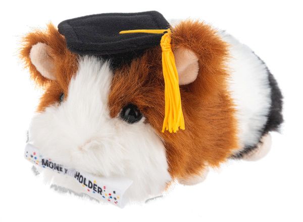 GRADUATION GUINEA PIG PLUSH WITH MONEY HOLDER