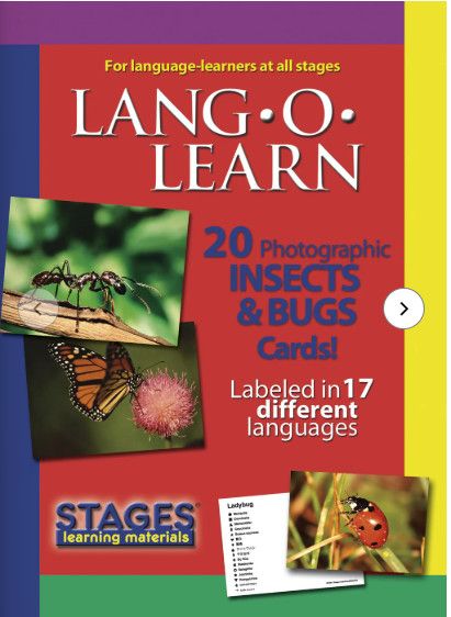 LANG-O-LEARN INSECTS &amp; BUGS