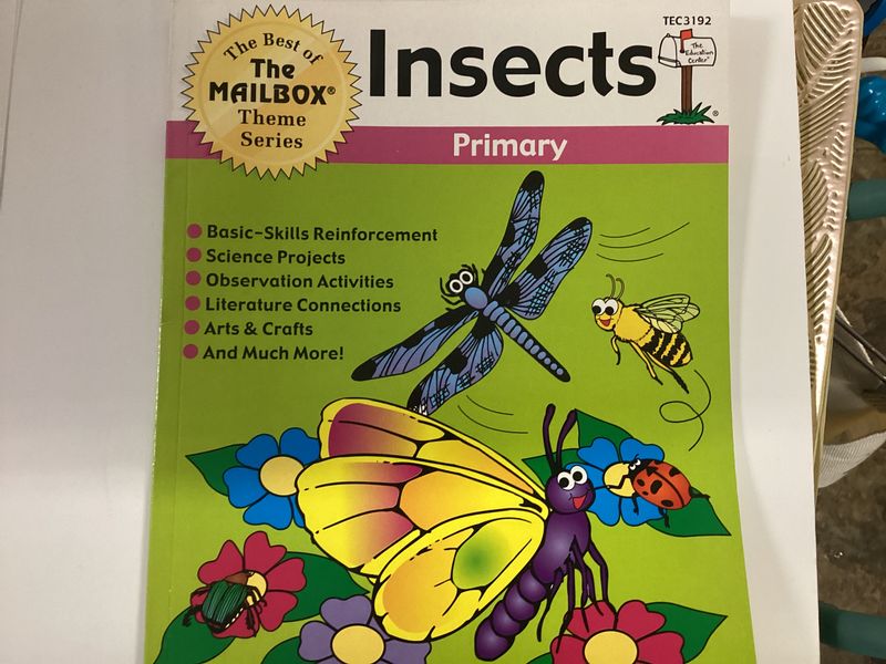 INSECTS