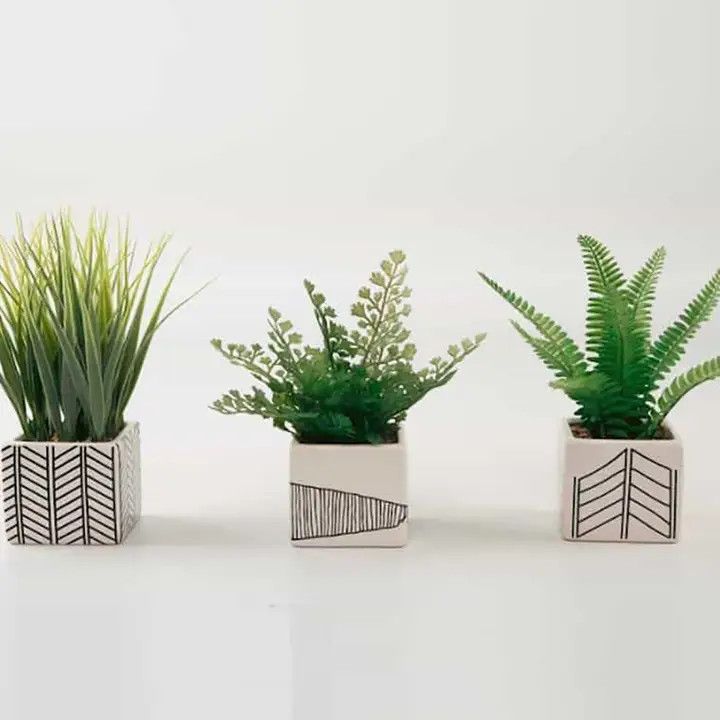 CHEVRON POTS WITH GREEN PLANTS  7 INCH